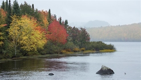 Rangeley landscape