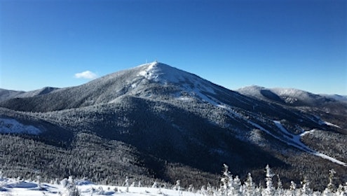 Sugarloaf landscape